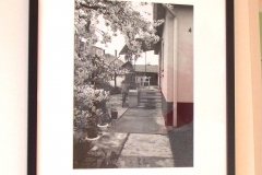 Grandmothers-House